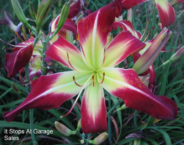 IT STOPS AT GARAGE SALES