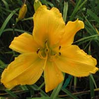 Broke In Three Places