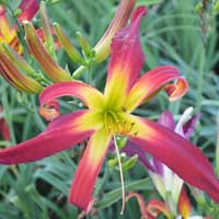 circumstantial_evidence