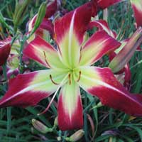 it_stops_at_garage_sales