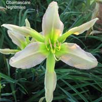 obamascare_nightmare
